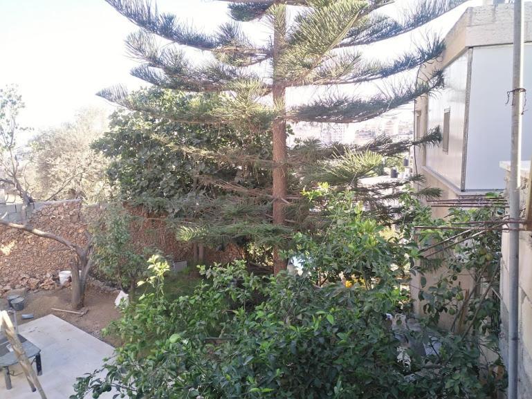 בית לחם Aman Hostel מראה חיצוני תמונה